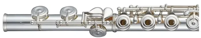Pearl Flauta Travesera Cantabile CD925RBE - Argent 925, Platos Ouverts, Mécanisme Mi, Pied Si, Avec Étui Pearl Flauta Travesera Cantabile CD925RBE - Argent 925, Platos Ouverts, Mécanisme Mi, Pied Si, Avec Étui