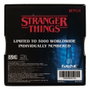 FaNaTtik Médaillon Hellfire Club Stranger Things Limited Edition