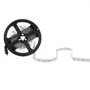 Ruban LED SMD5050 Blanc Froid 12VDC 36W 2100Lm 5m 6000K 150 LEDs