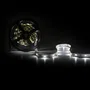Ruban LED SMD5050 Blanc Froid 12VDC 36W 2100Lm 5m 6000K 150 LEDs