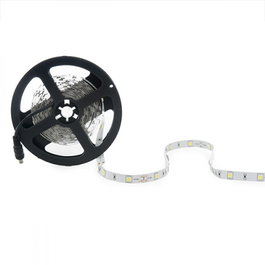 Ruban LED SMD5050 Blanc Froid 12VDC 36W 2100Lm 5m 6000K 150 LEDs