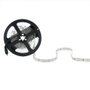 Bande de 150 LED SMD5050 36W 2100Lm 6000K Blanc Froid 12VDC x 5M