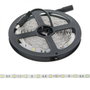 Bande de 150 LED SMD5050 36W 2100Lm 6000K Blanc Froid 12VDC x 5M