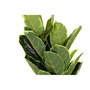 Plante décorative DKD Home Decor Polyéthylène Vert 40 x 40 x 120 cm Urbaine