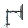 Neomounts DS60-600BL1 Support de Bureau à Bras Articulé pour Écran PC 10-32" - Capacité 8 kg, Pivot 180°, Rotation 360°, VESA 100x100 mm, Noir