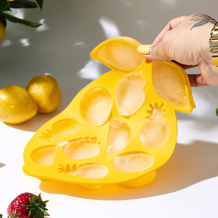 Cook Concept Moule à cubes de fruits Dolce Vita