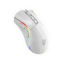 Phoenix Technologies Souris Gaming Sans Fil Void Elite 19000 DPI Pixart 3335 USB-C RGB Noir