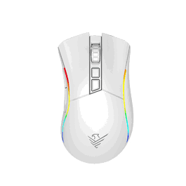 Phoenix Technologies Souris Gaming Sans Fil Void Elite 19000 DPI Pixart 3335 USB-C RGB Noir