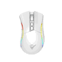 Phoenix Technologies Souris Gaming Sans Fil Void Elite 19000 DPI Pixart 3335 USB-C RGB Noir