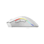 Phoenix Technologies Souris Gaming Sans Fil Void Elite 19000 DPI Pixart 3335 USB-C RGB Noir