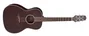 Takamine Guitare Electro-Acoustique New Yorker GY21, Satin Molasse