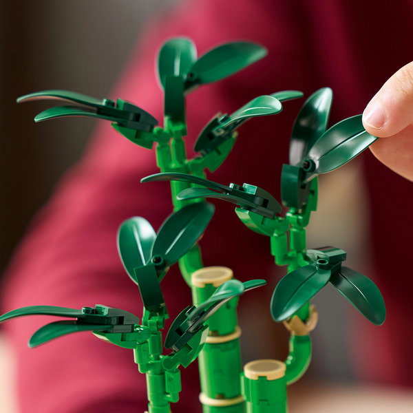 LEGO Botanicals 10344 Le bambou de la chance