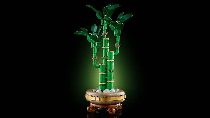 LEGO Botanicals 10344 Le bambou de la chance