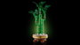 LEGO Botanicals 10344 Le bambou de la chance