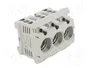 MERSEN Socle D02 pour rail DIN 63A 3 pôles