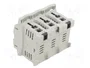 MERSEN Socle D02 pour rail DIN 63A 3 pôles