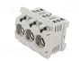 MERSEN Socle D02 pour rail DIN 63A 3 pôles