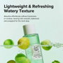 Beauty Of Joseon Green Plum Refreshing Toner AHA + BHA