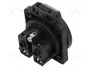 SEZ DK Socle femelle d'alimentation AC 16A 250V AC VZ 16/BLACK