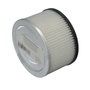 Wolfpack Filtre pour Aspirateur à Cendres 1200W 15L avec Protection Métallique