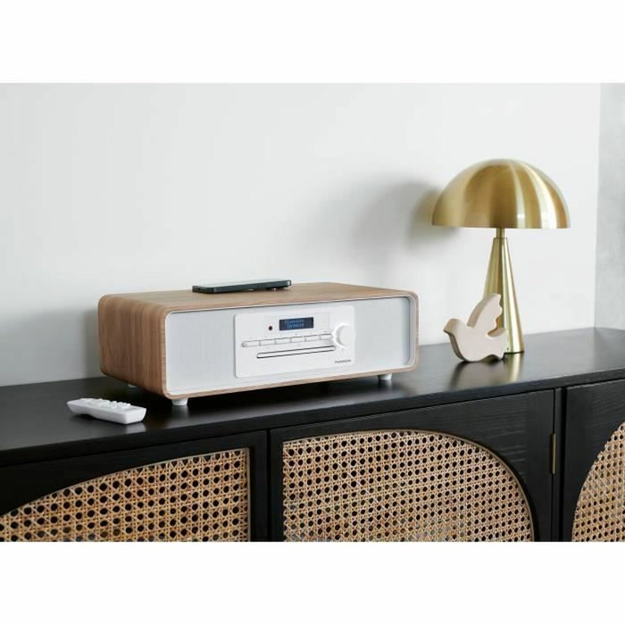 Thomson MIC301IDABBT Micro-chaîne Bluetooth CD/MP3/USB/Radio FM/DAB+