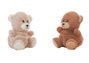 Ours en peluche 1 Unité
