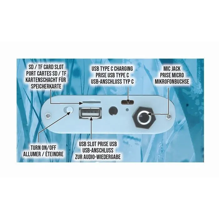 Lexibook Enceinte Karaoké Enfant La Reine des Neiges - Bluetooth 5.0 - Effets Lumineux - 2 HP 12W - Lecture MP3 via Carte SD/TF et USB