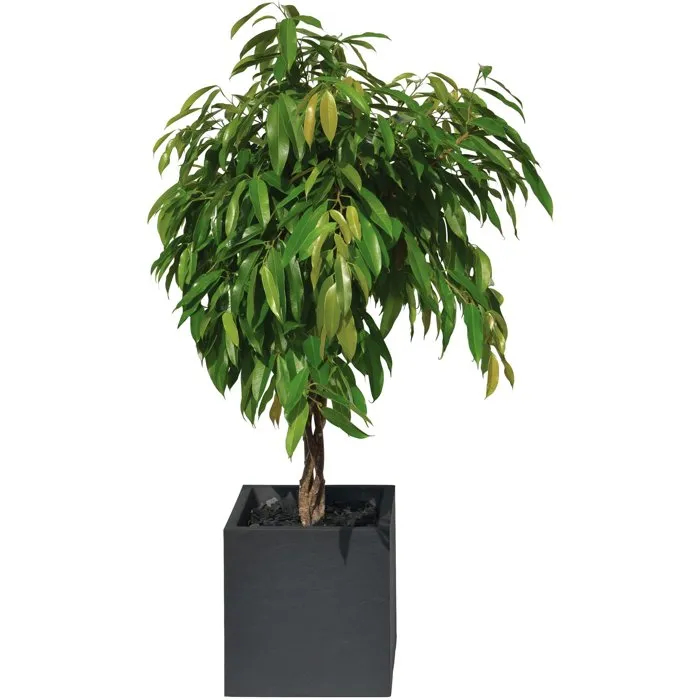 Eda - Pot de fleurs carré Volcania 40 cm - Intérieur/Extérieur - Décor pierre - Gris anthracite - 31L (39.5x39.5x43.5 cm) - Label Origine France Garantie Eda - Pot de fleurs carré Volcania 40 cm - Intérieur/Extérieur - Décor pierre - Gris anthracite - 31L (39.5x39.5x43.5 cm) - Label Origine France Garantie