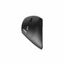 Rapoo EV250 Souris sans fil Ergonomique 1600 DPI