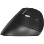 Rapoo EV250 Souris sans fil Ergonomique 1600 DPI