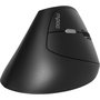 Rapoo EV250 Souris sans fil Ergonomique 1600 DPI