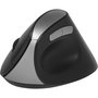 Rapoo EV250 Souris sans fil Ergonomique 1600 DPI