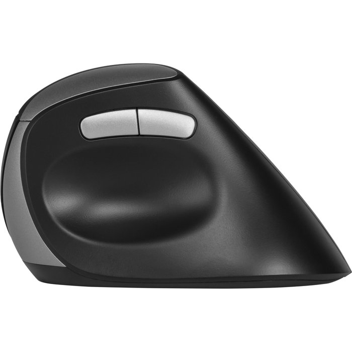 Rapoo EV250 Souris sans fil Ergonomique 1600 DPI