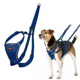 Harnais pour Chien Company of Animals Blue 20
