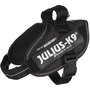 Harnais pour Chien Julius K9 IDC Noir