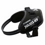 Harnais pour Chien Julius K9 IDC Noir