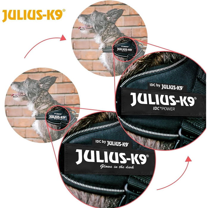 Harnais pour Chien Julius K9 IDC Noir