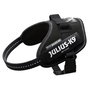 Harnais pour Chien Julius K9 IDC Noir