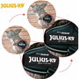 Harnais pour Chien Julius K9 IDC Noir