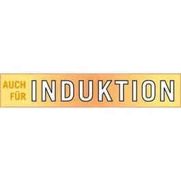 GSW Avanti Poêle en acier carbone 28 cm - Compatible induction, four et lave-vaisselle - Manche riveté professionnel