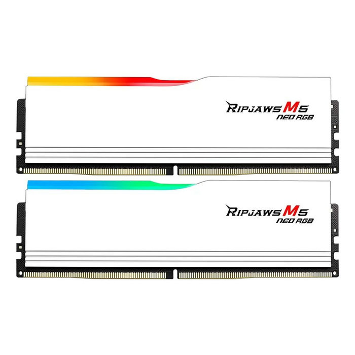 Mémoire RAM GSKILL F5-6000J3636F32GX2-RM5NRW 64 GB DDR5 cl28 6000 MHz