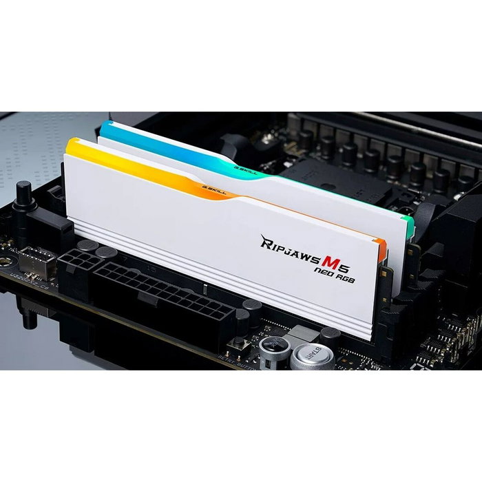 Mémoire RAM GSKILL F5-6000J3636F32GX2-RM5NRW 64 GB DDR5 cl28 6000 MHz