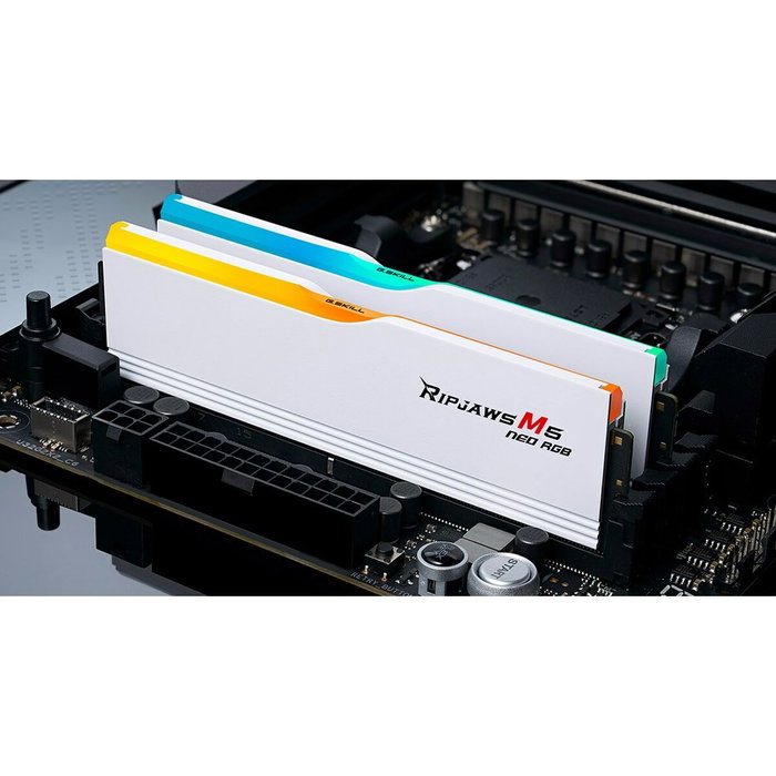 Mémoire RAM GSKILL F5-6000J3636F32GX2-RM5NRW 64 GB DDR5 cl28 6000 MHz