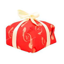 PASTIZERIA VENECIA Panettone Classico Bio 750 g