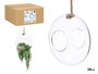 GIFTDECOR Vase suspendu bombé avec corde Transparent-Marron