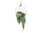 GIFTDECOR Vase suspendu bombé avec corde Transparent-Marron