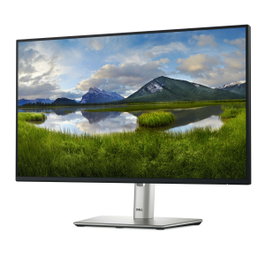 Dell P2425H Moniteur 23,8 pouces Full HD IPS 100 Hz Noir