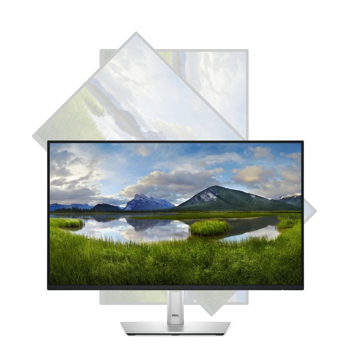 Dell P2425H Moniteur 23,8 pouces Full HD IPS 100 Hz Noir