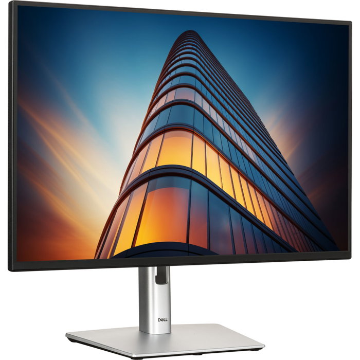 Dell P2425H Moniteur 23,8 pouces Full HD IPS 100 Hz Noir