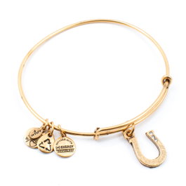 Alex And Ani Bracelet Doré Fer à Cheval